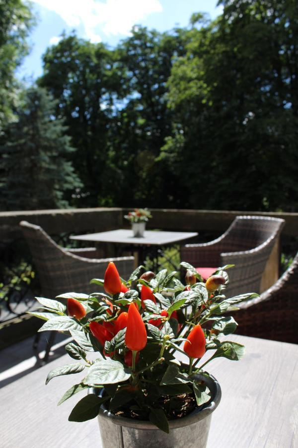 Schlosshotel Stecklenberg 탈레 외부 사진