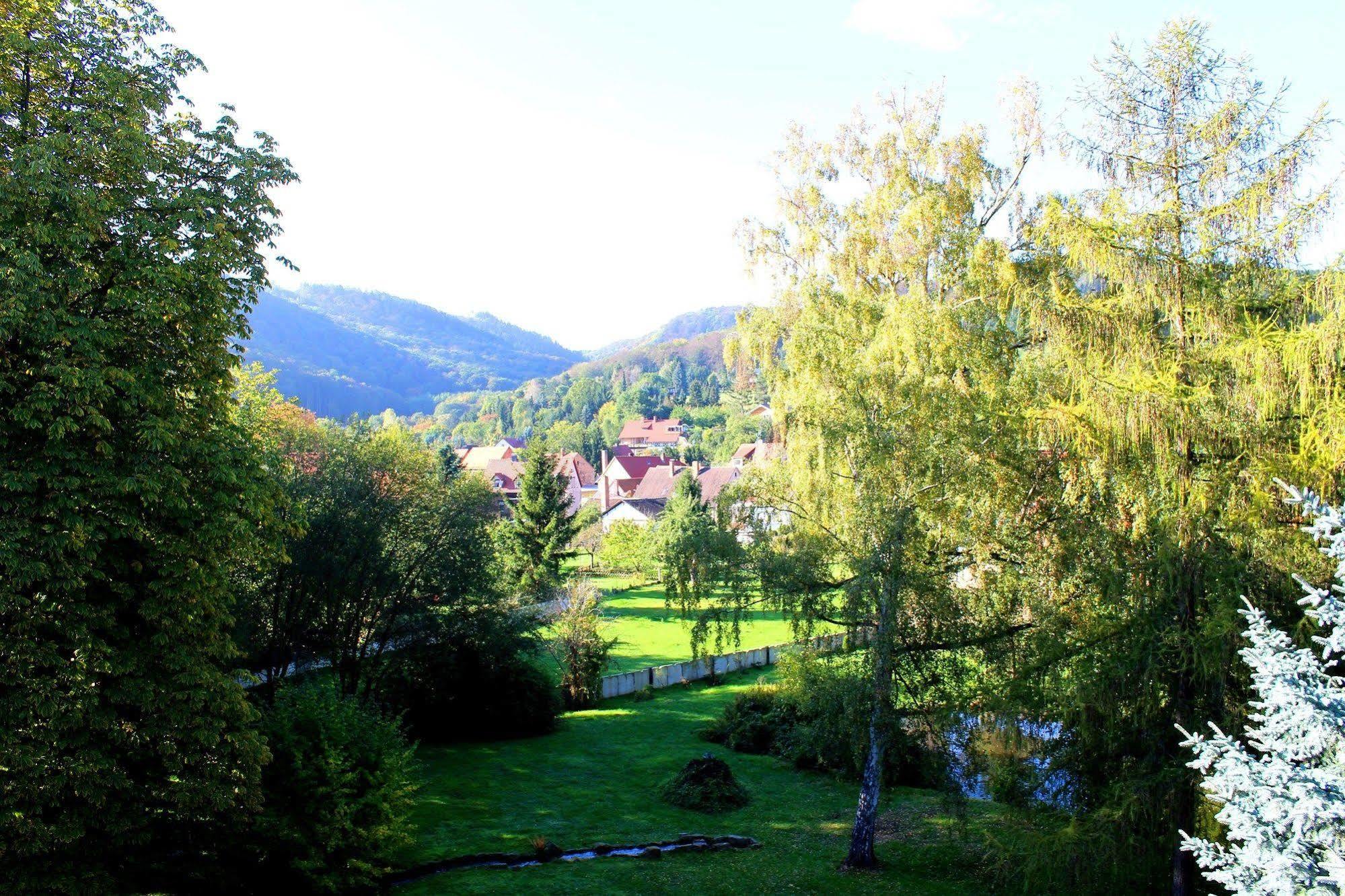 Schlosshotel Stecklenberg 탈레 외부 사진